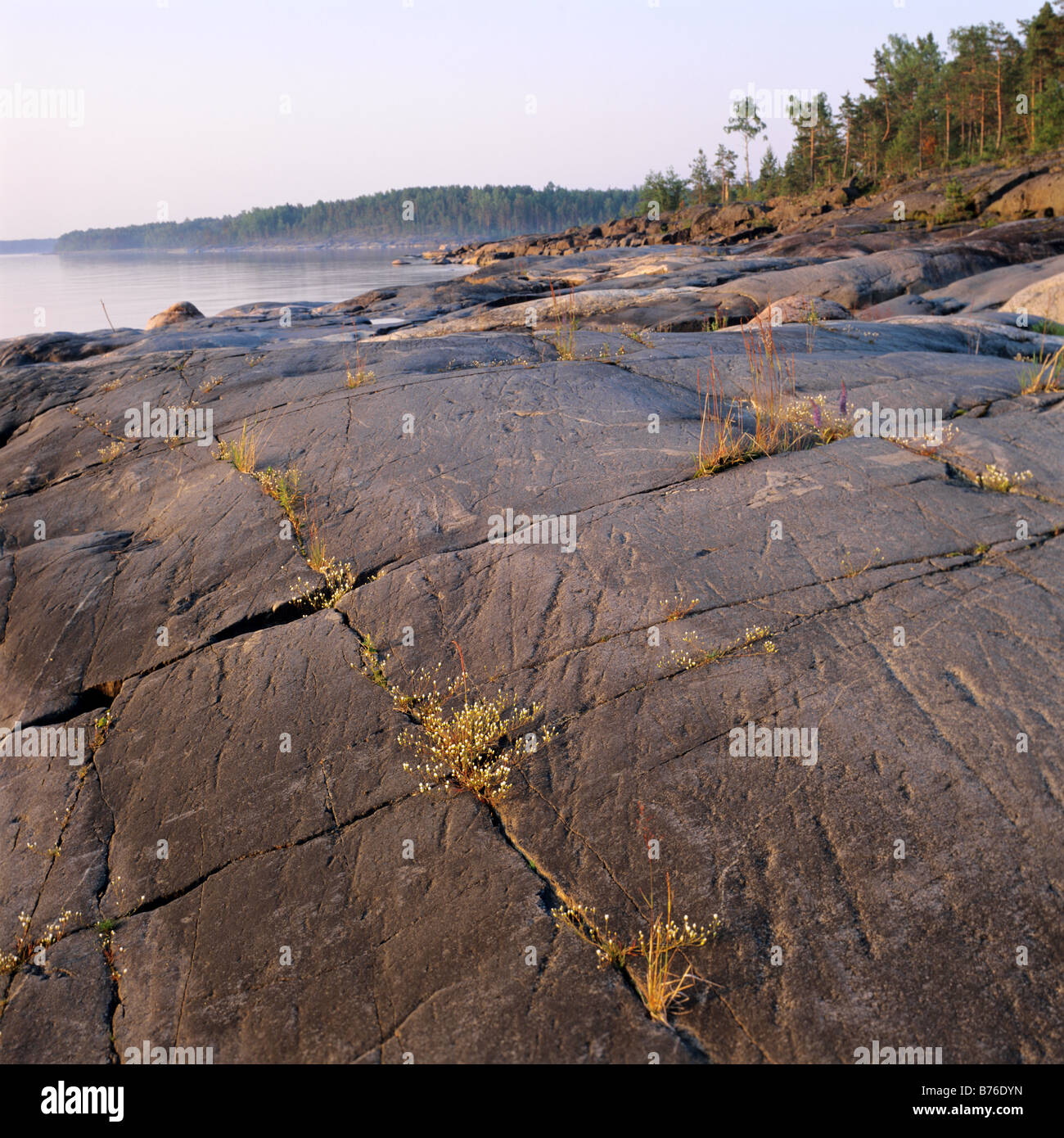 Ladoga hires stock photography and images Alamy