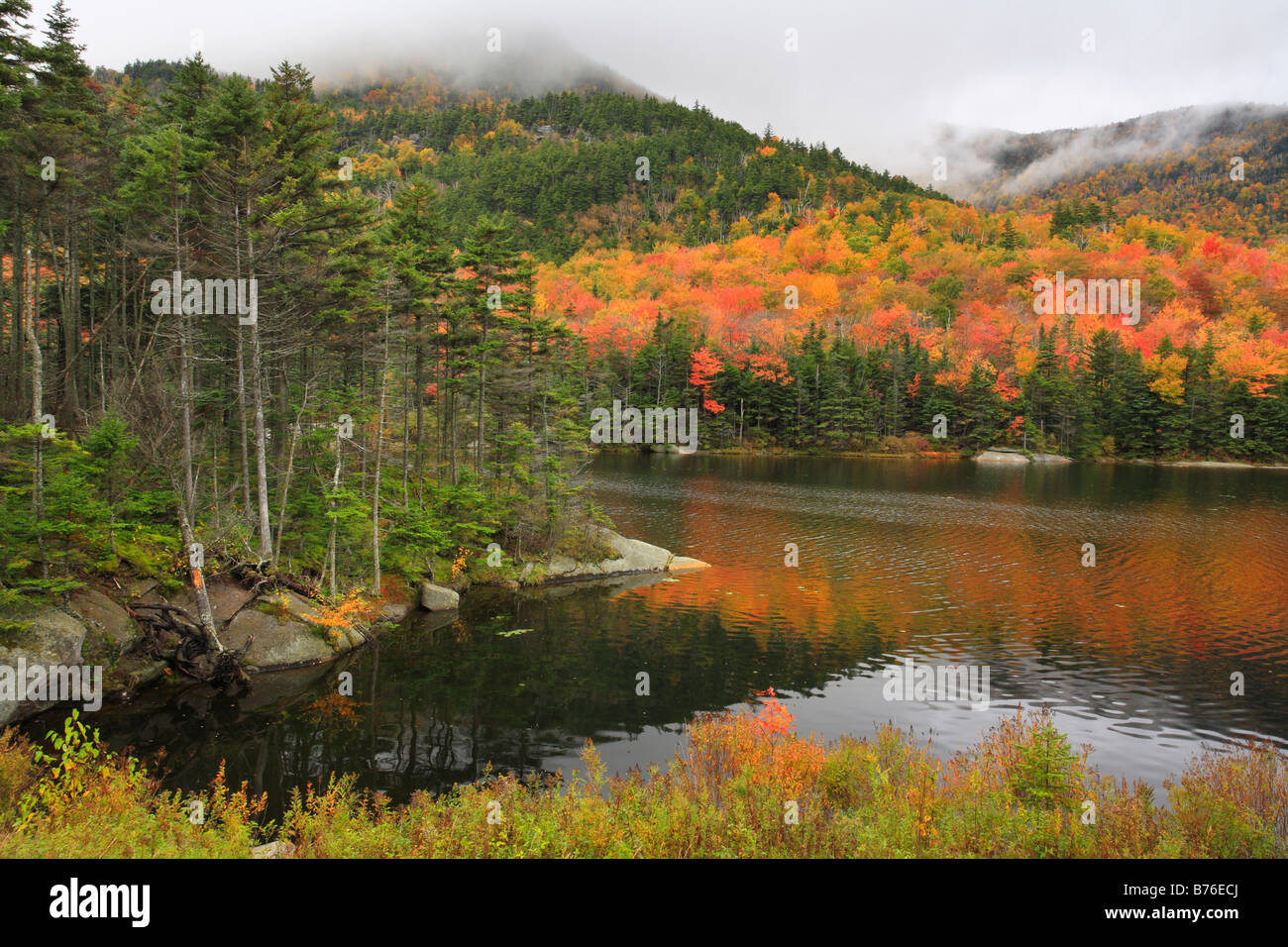 Beaver Pond, Appalachain Trail, White Mountains, Lincoln, New hampshire