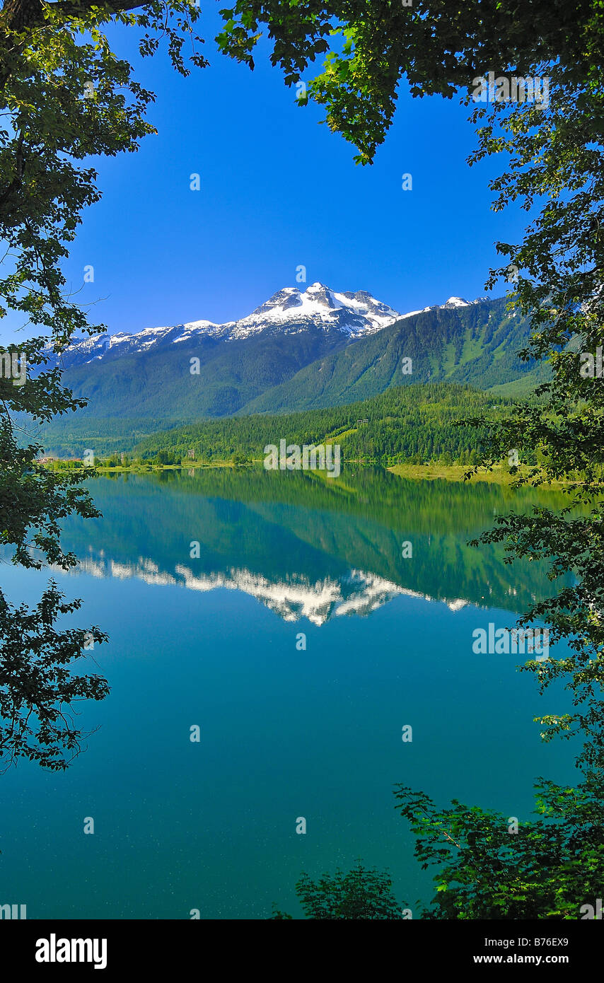 Mount Begbie near the town of Revelstoke in British Columbia, Canada, framed by trees. Vertical Format Stock Photo