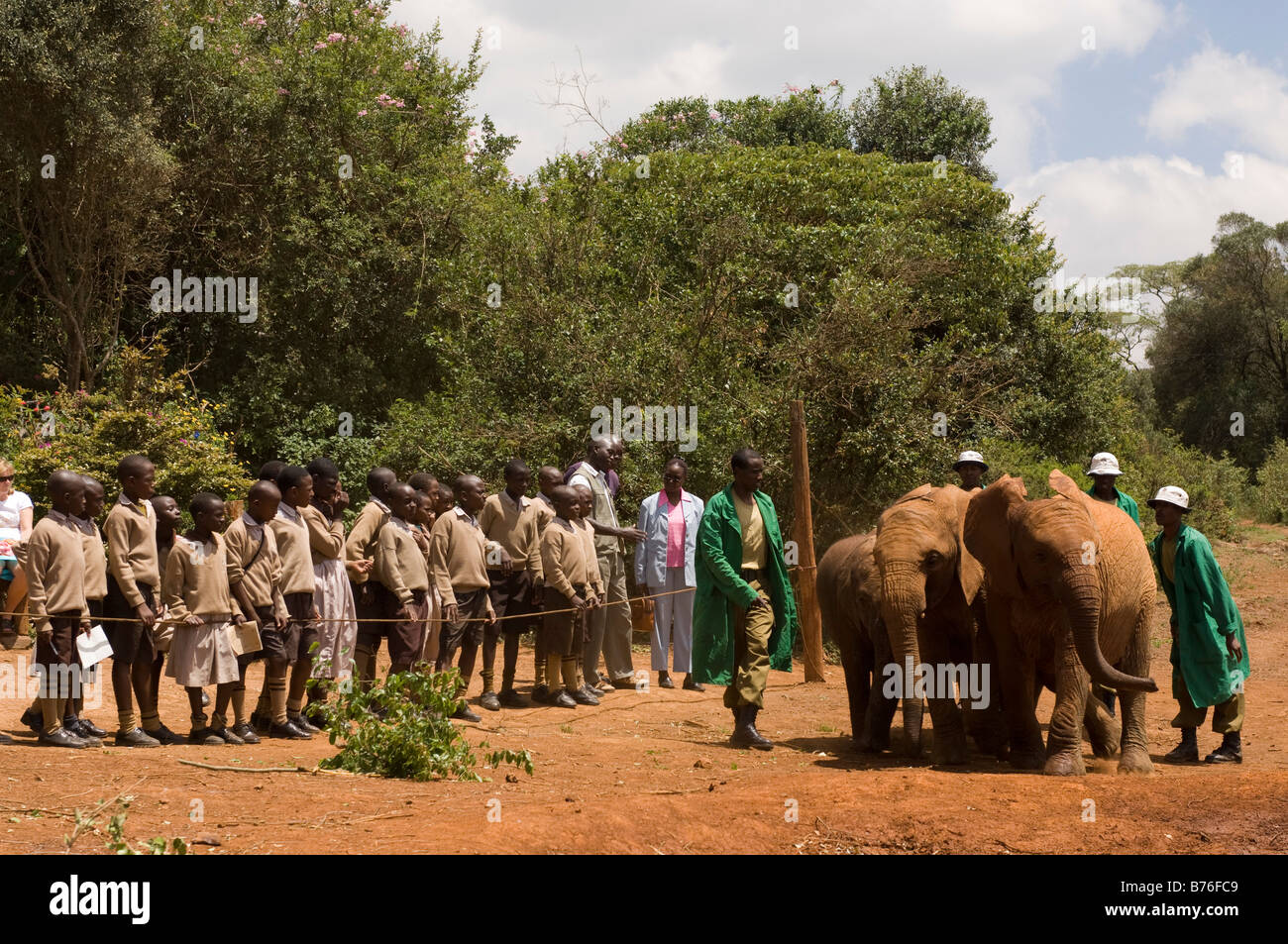 David Sheldrick Wildlife Trust Elephant Orphanage Nairobi Kenya Stock Photo