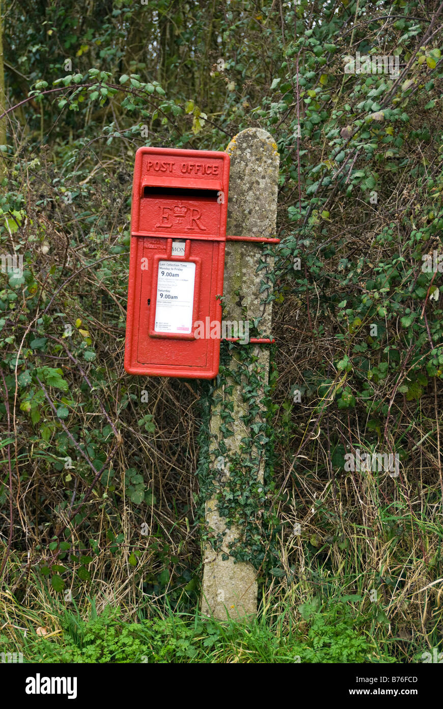 Rural Royal Mail letterbox in the countryside with undergrowth UK Stock Photo