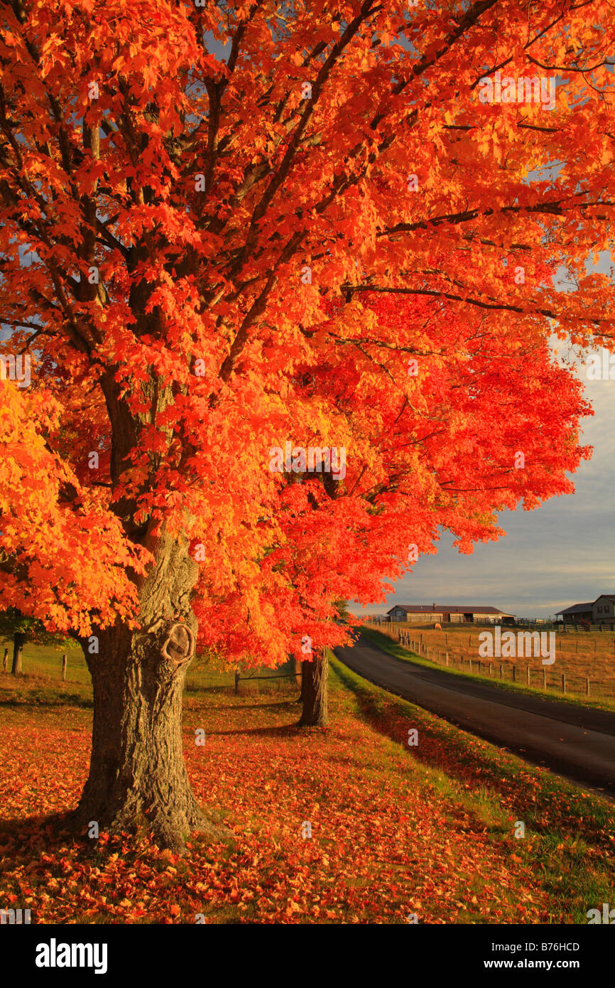 Dawn, Western Highland County, Virginia, USA Stock Photo Alamy