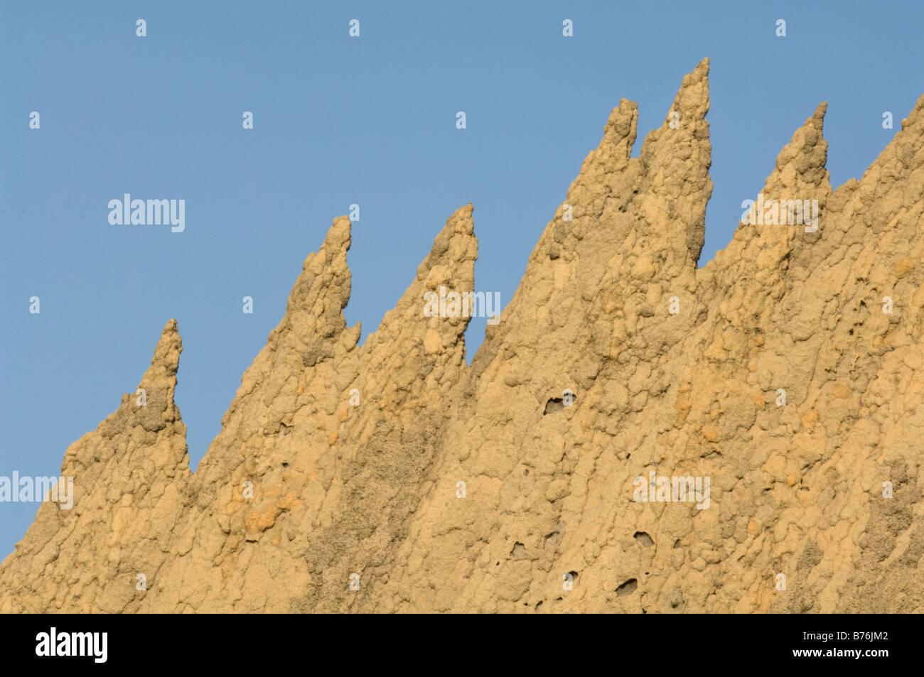 Magnetic termite (Amitermes meridionalis & A. laurensis) mound's thin ...