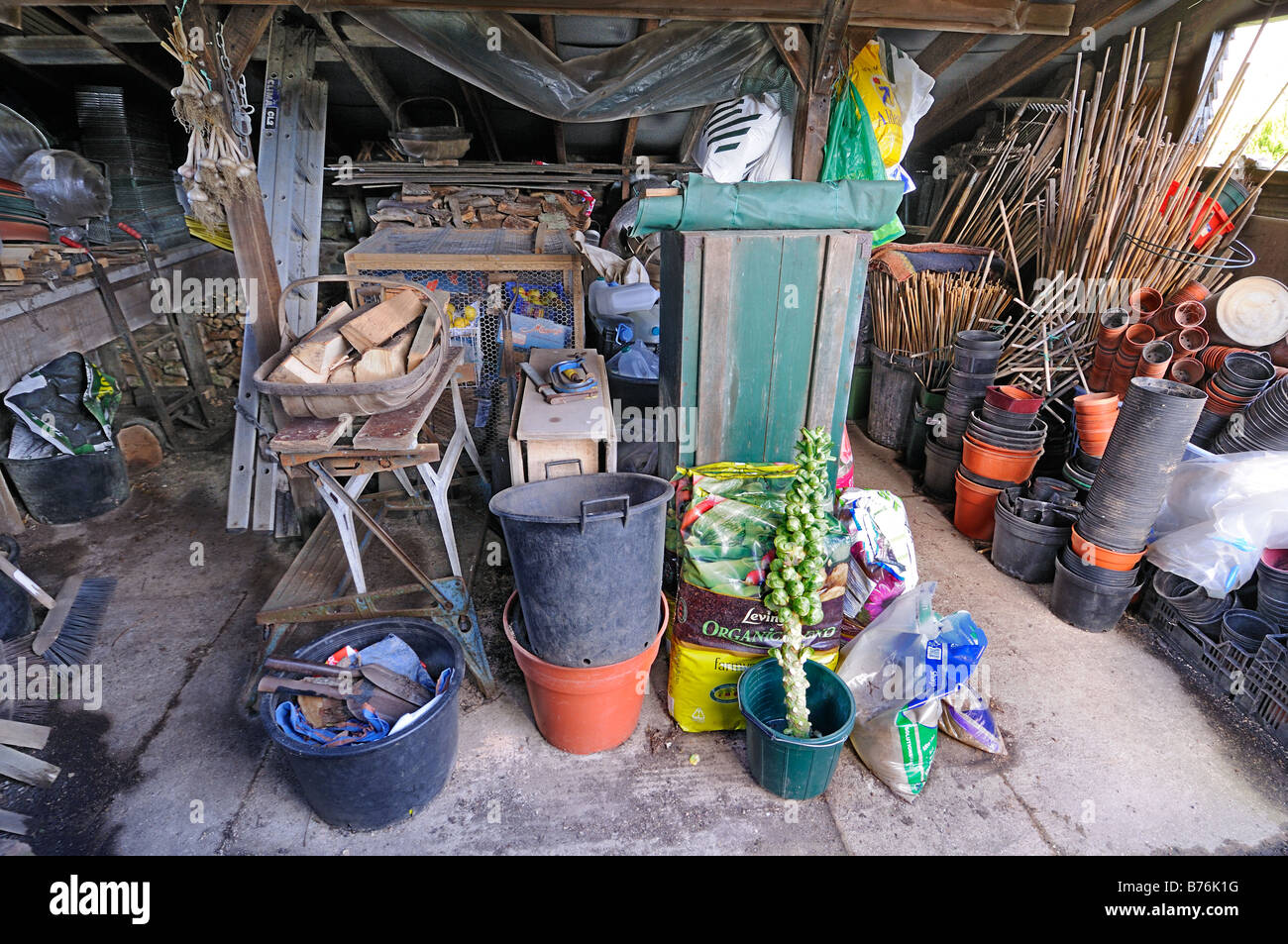 Large garden shed with gardening bits and pieces Stock Photo