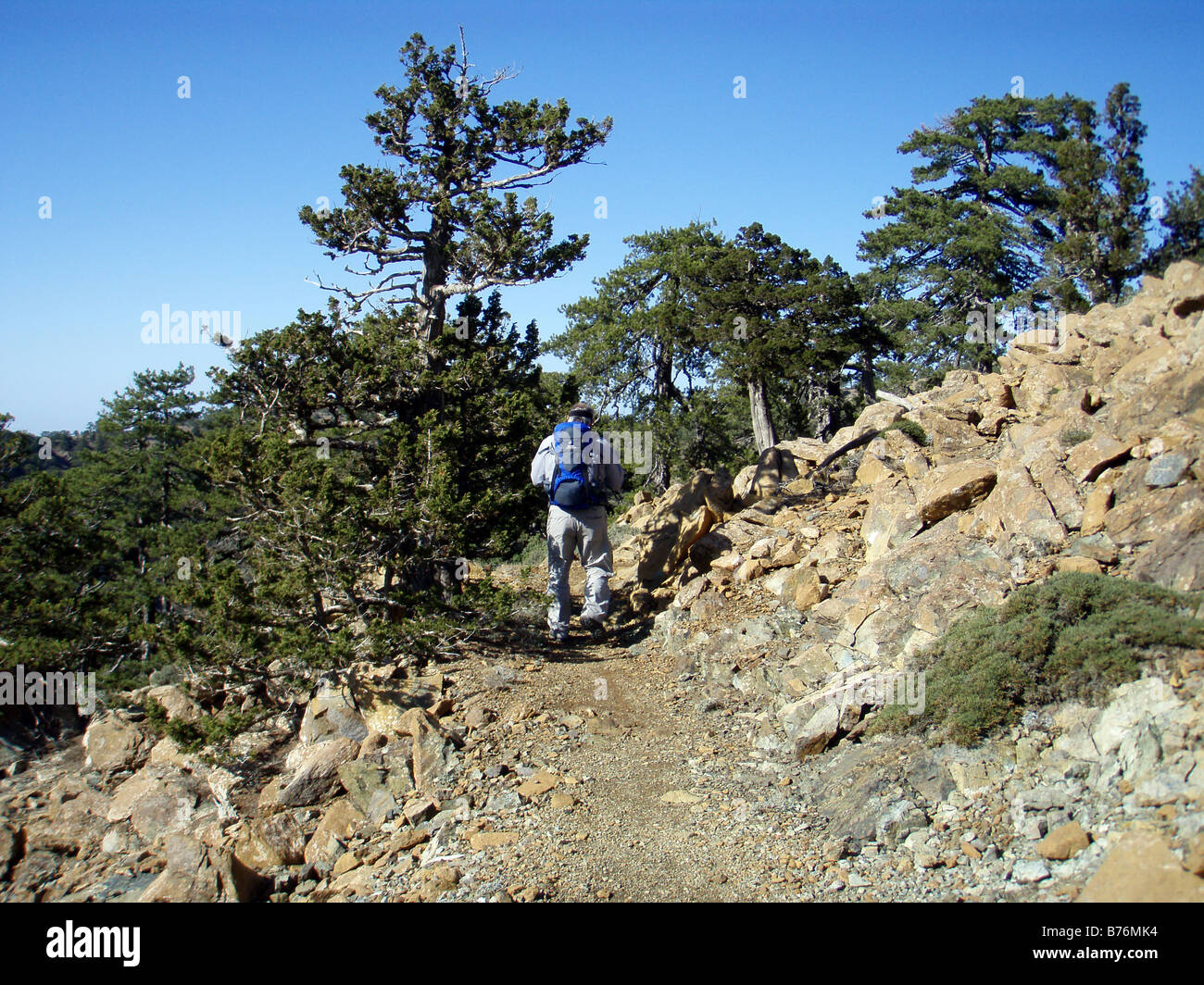 Walking Trail with Walker in the Troodos Mountains of Cyprus Stock Photo