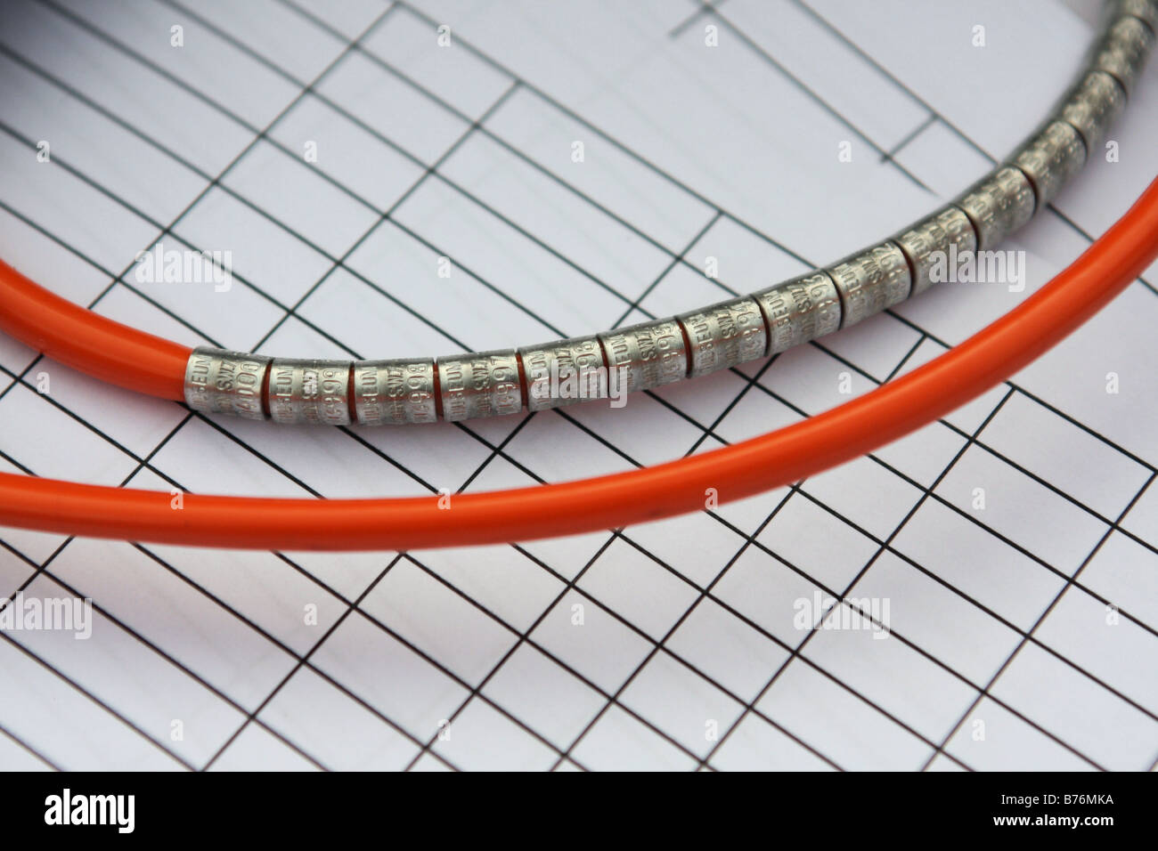 Bird ringers' rings Stock Photo - Alamy