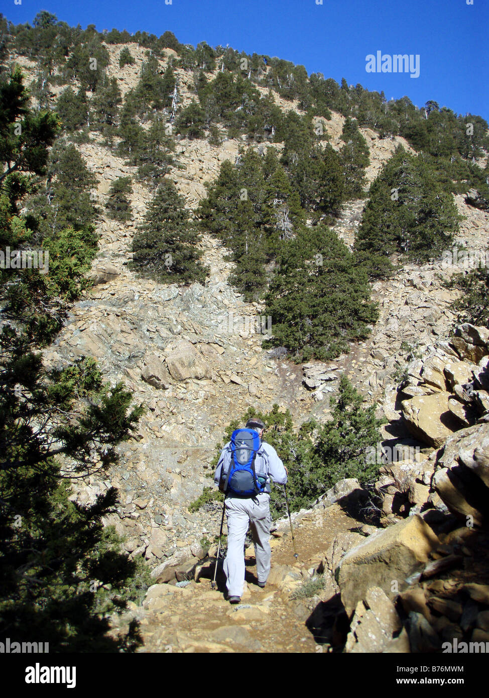 Man Hiking in Troodos Mountains Cyprus in Sunshine on Adventure Holiday Trip Stock Photo