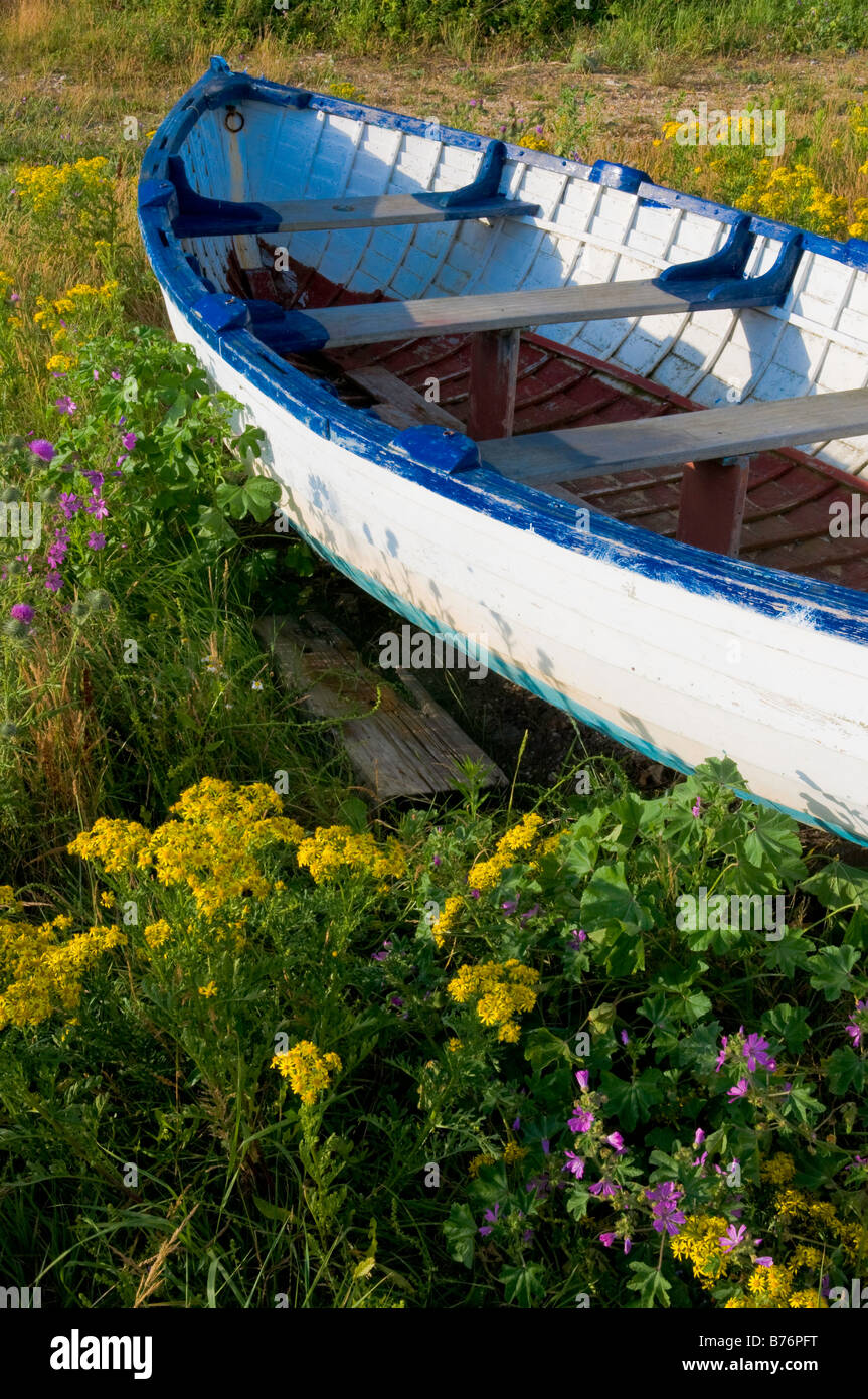 Abandoned old wooden rowing boat amongst summer flowers Stock Photo - Alamy