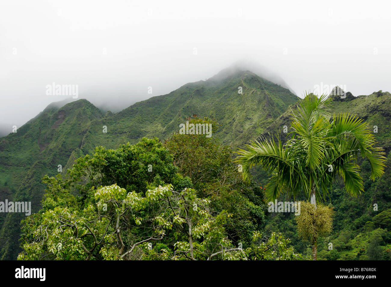 Rainforest mountains hi-res stock photography and images - Alamy