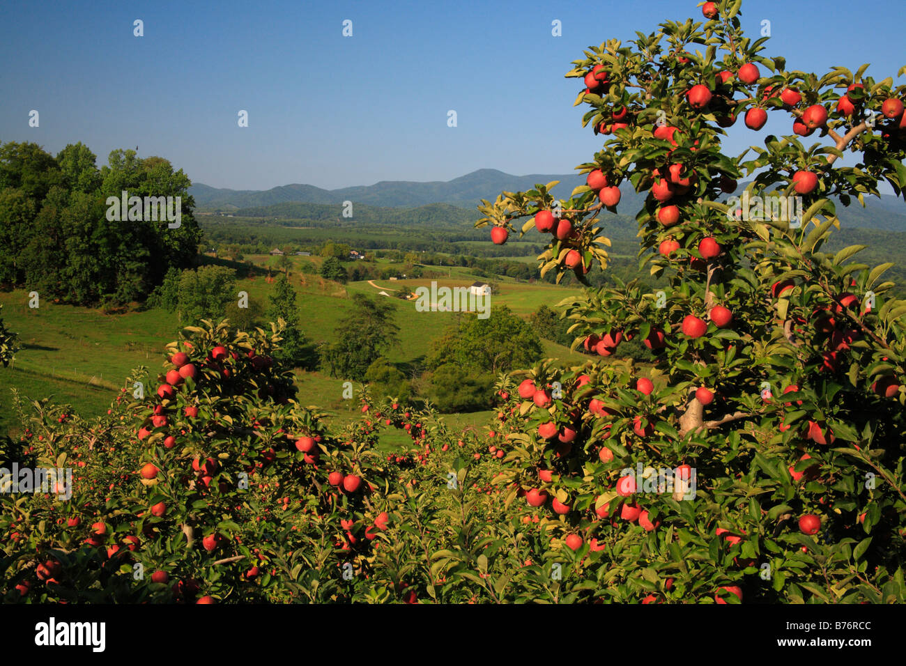 Apple orchard house hires stock photography and images Alamy