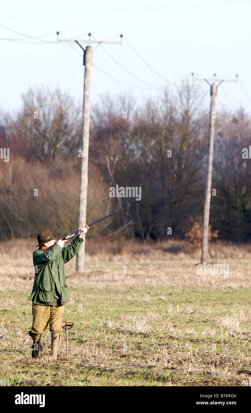 A gun takes a shot at a pheasant during a game shoot Stock Photo