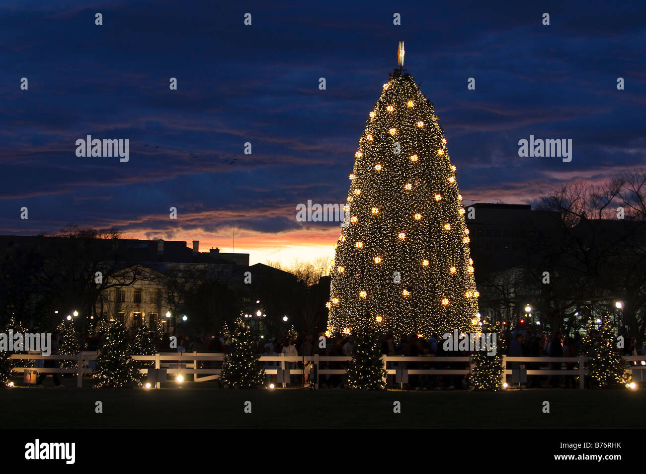 The National Christmas Tree on the Ellipse in Washington DC taken at night Stock Photo