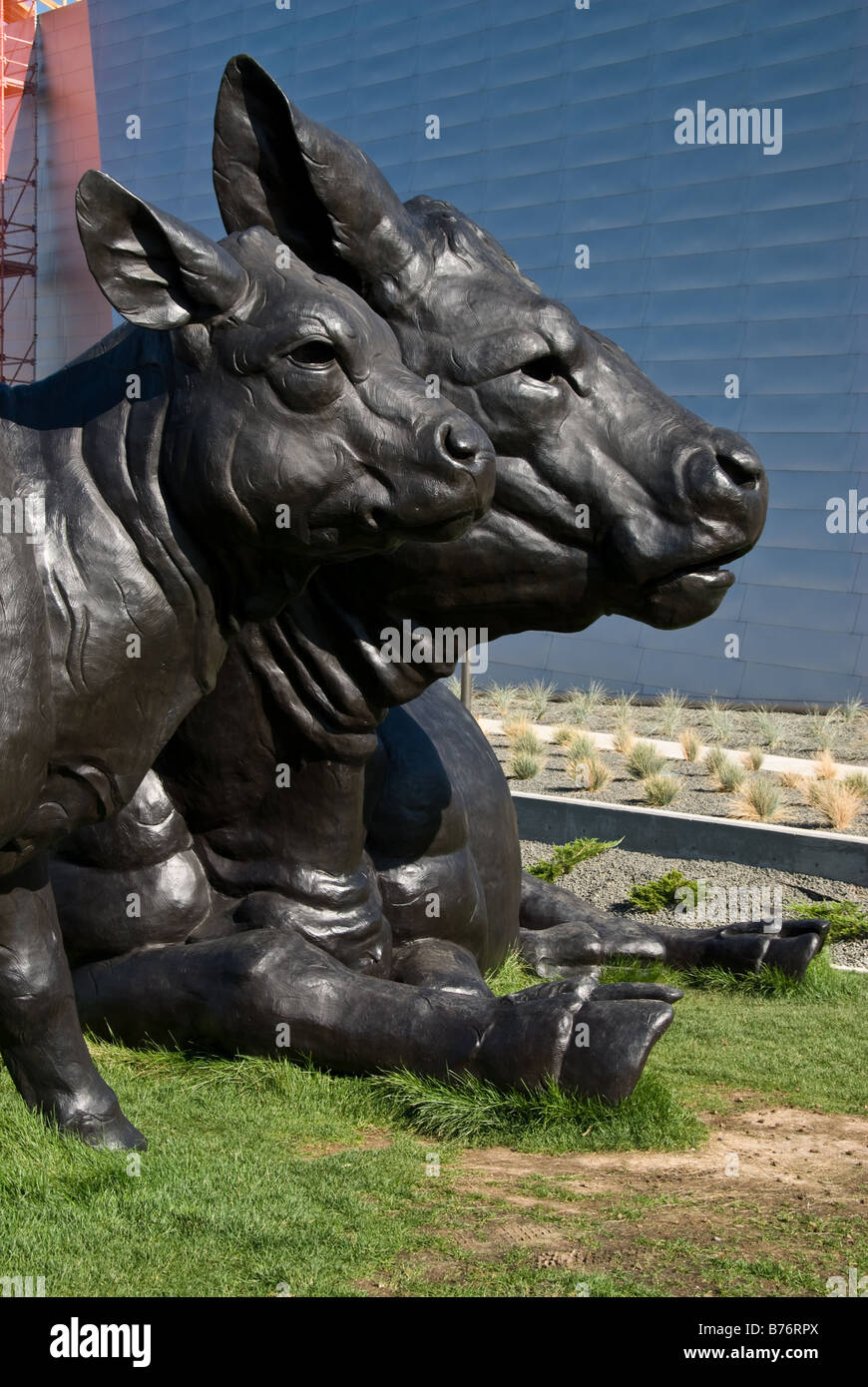 Cow Statue at DEnver ARt muesum Stock Photo Alamy