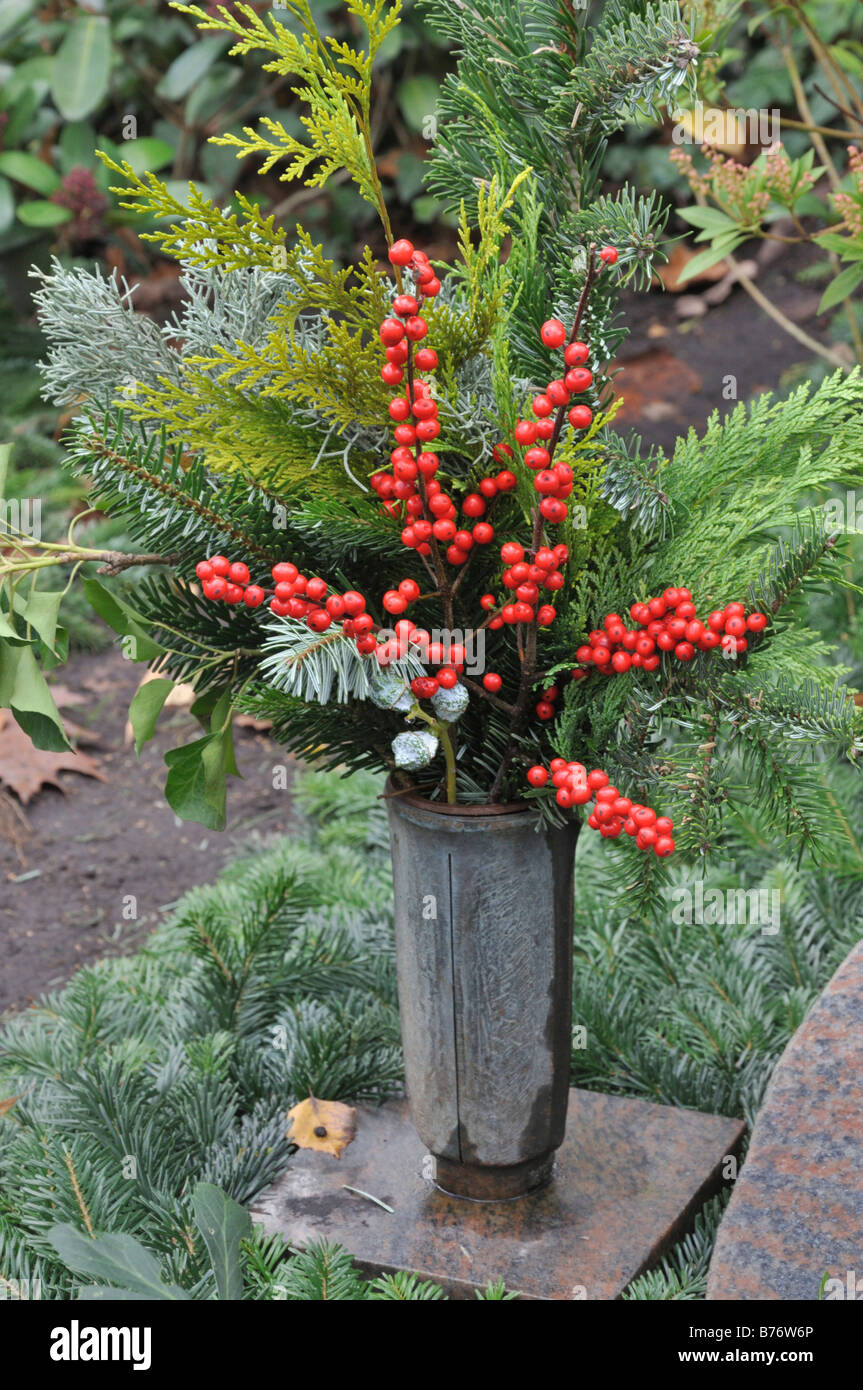American winterberry (Ilex verticilata) Stock Photo