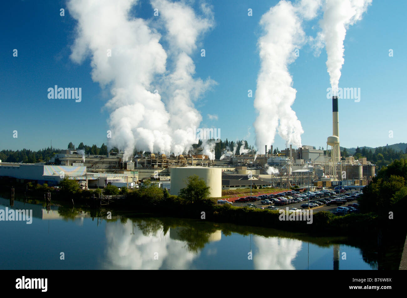 Forest products processing plant Stock Photo