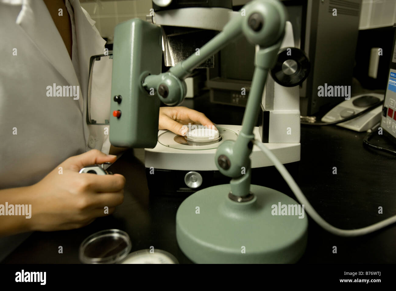 Scientist performing a bacteria count, Membrane filtration method, laboratory Stock Photo