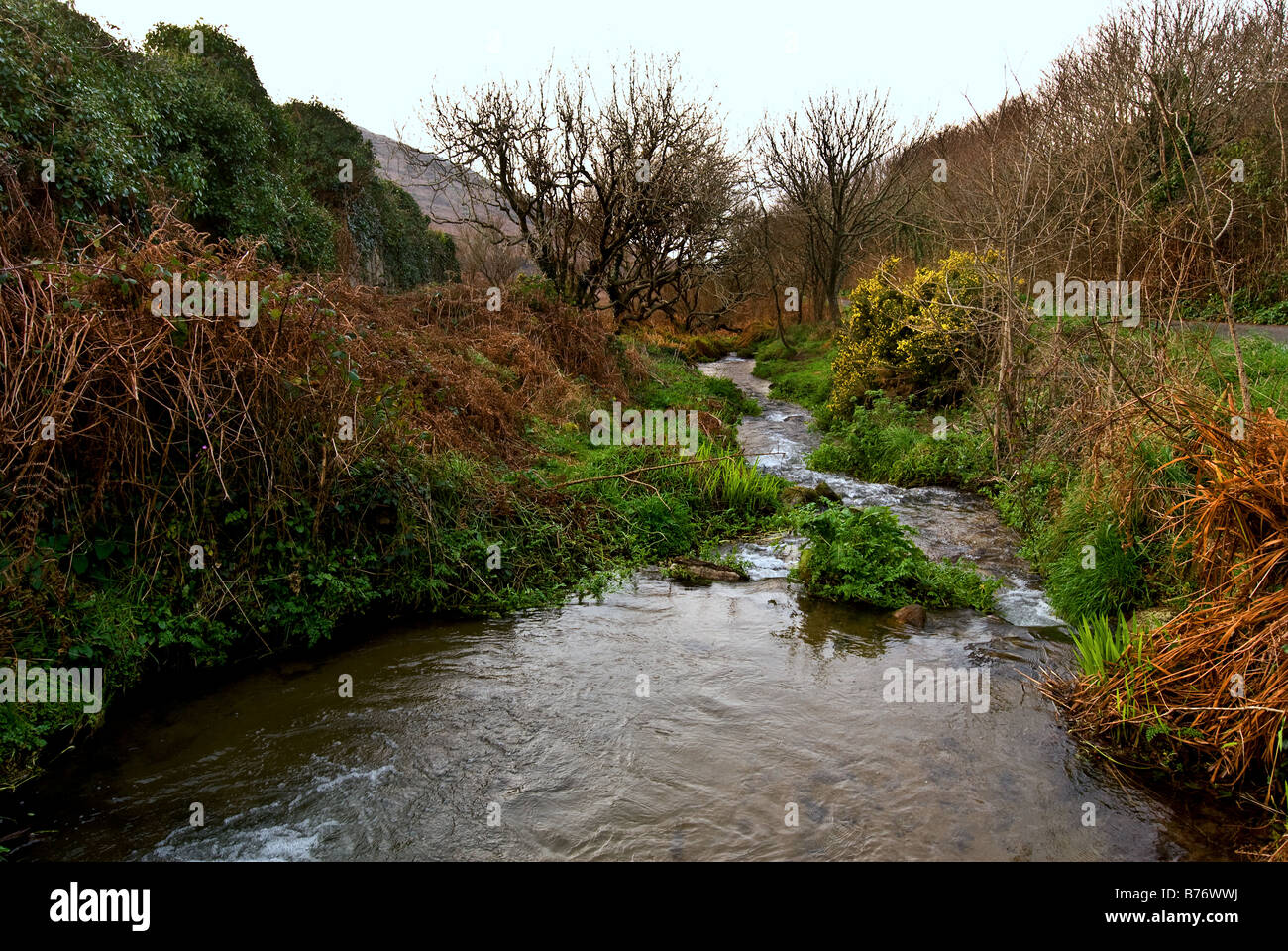 The stream running through Cot Valley in Cornwall Stock Photo Alamy