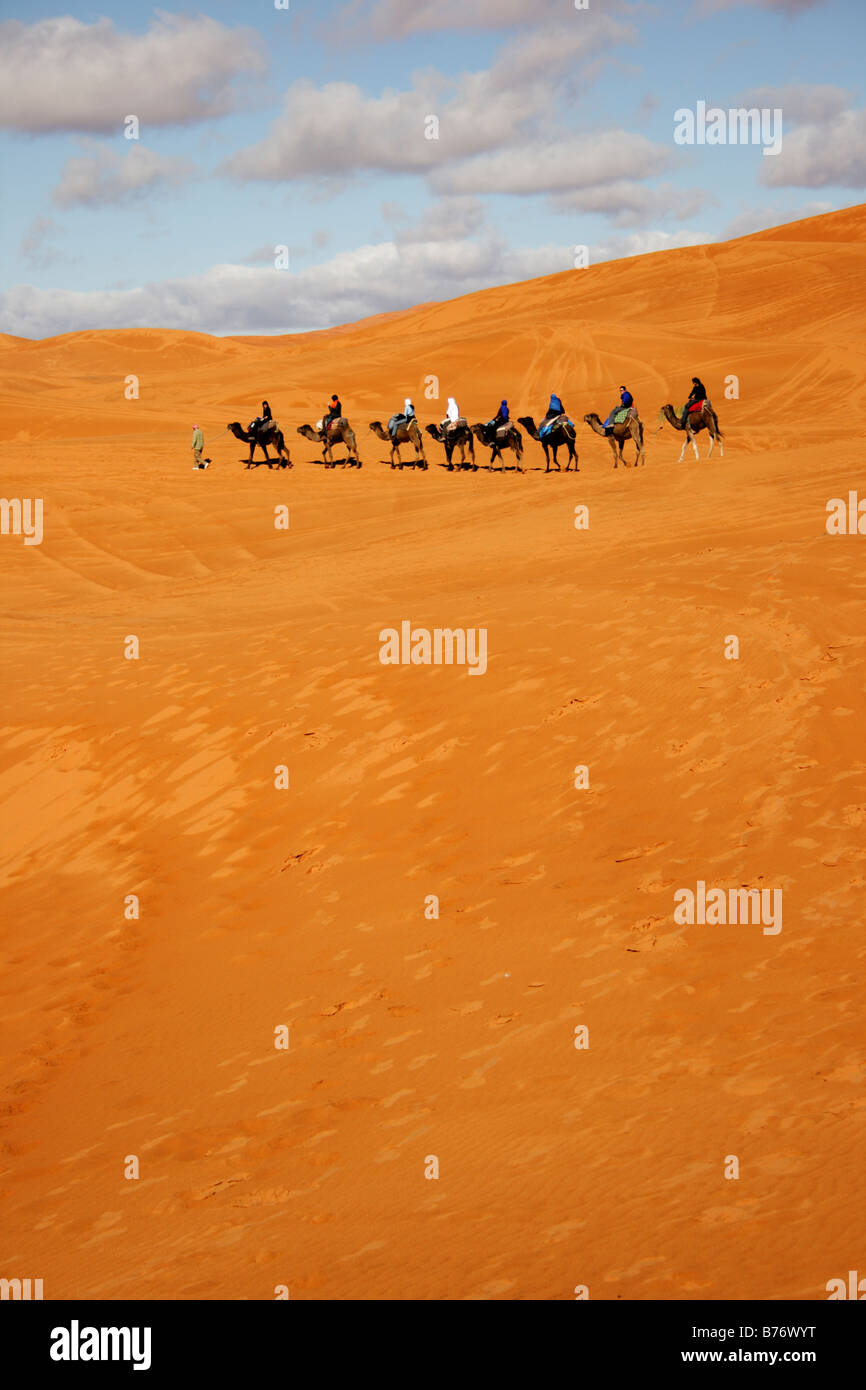 Camels in Erg Chebbi, Merzouga, Morocco Stock Photo