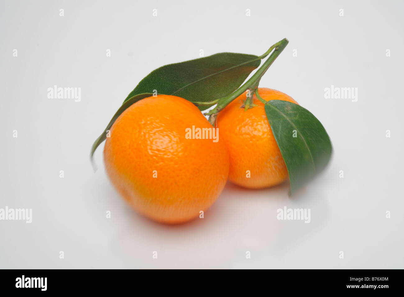 Mandarin, Studio shot, White background Stock Photo