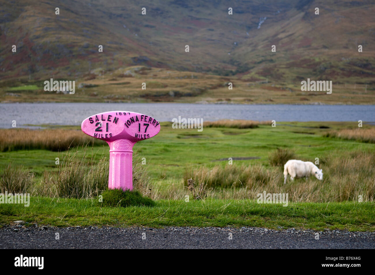 Bright pink traditional road sign showing distances to Salen and Iona ...