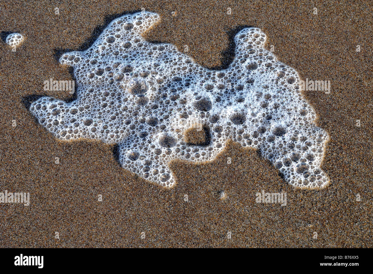 bamburgh  beach northumberland uk bubbles foam sea Stock Photo