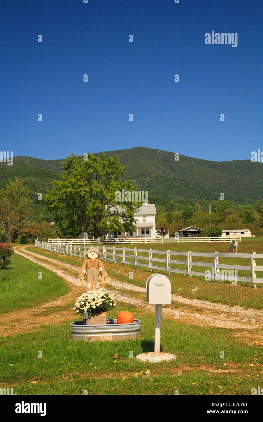 Farm, Massies Mill, Virginia, USA Stock Photo