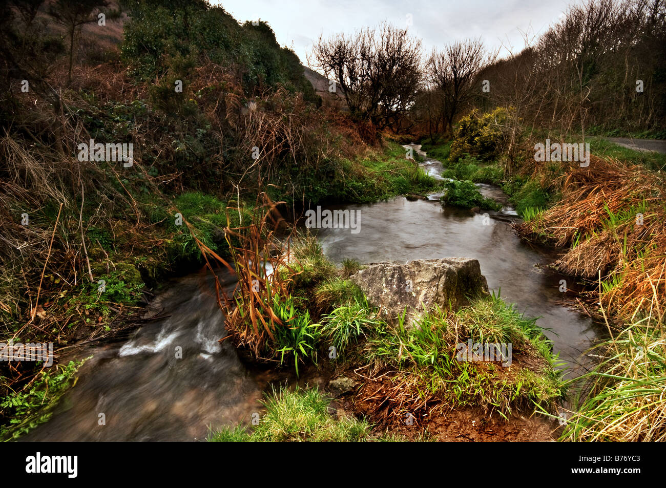 The stream running through Cot Valley in Cornwall Stock Photo Alamy