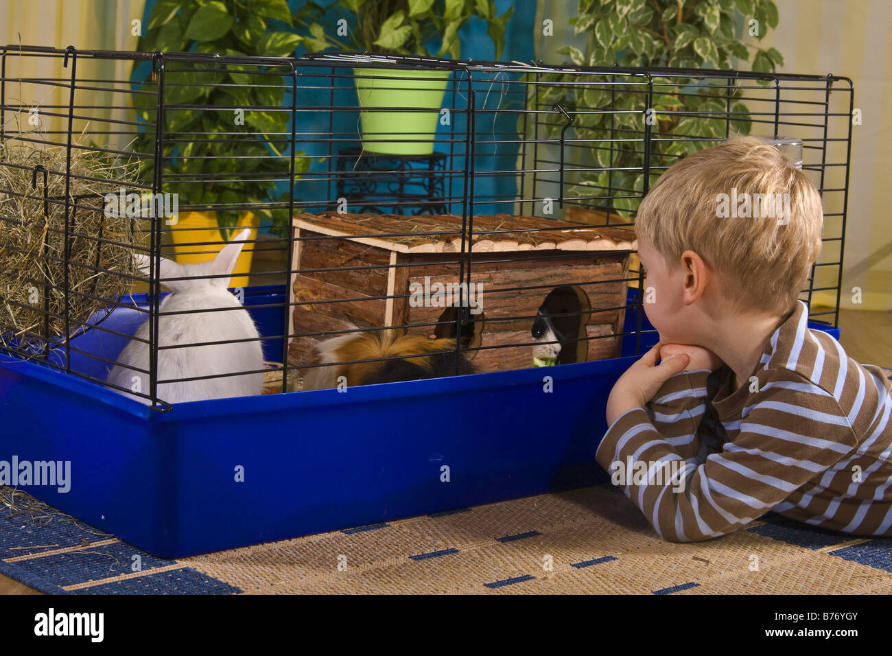 boy is looking at critters in a cage Stock Photo