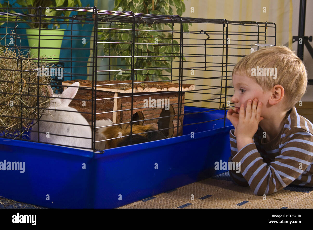 boy is looking at critters in a cage Stock Photo