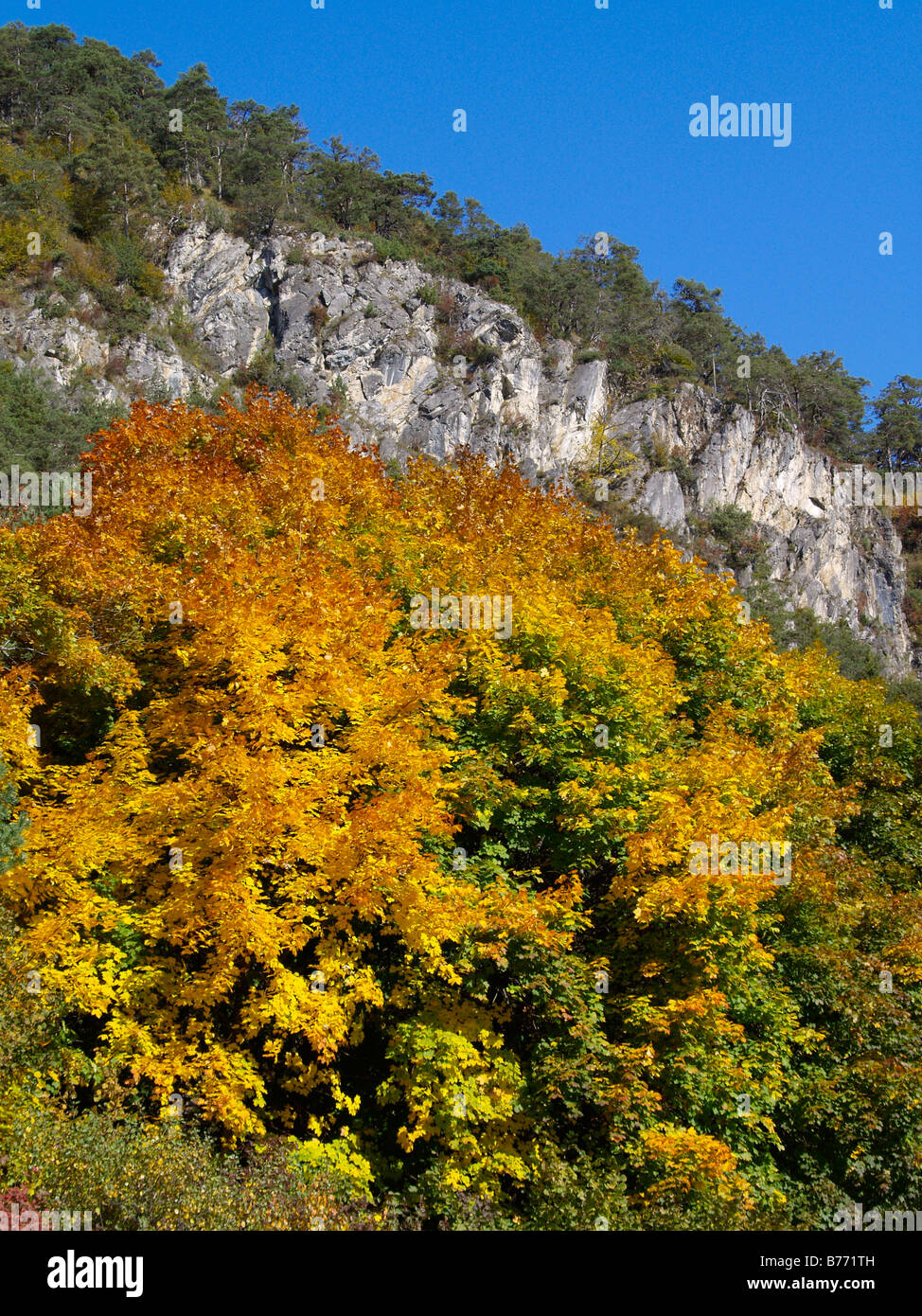 Herbstlandschaft, autumn landscape Stock Photo