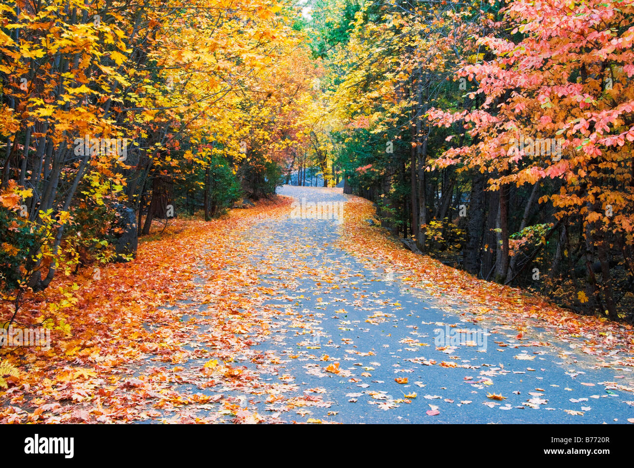 Mirror lake yosemite fall hi-res stock photography and images - Alamy