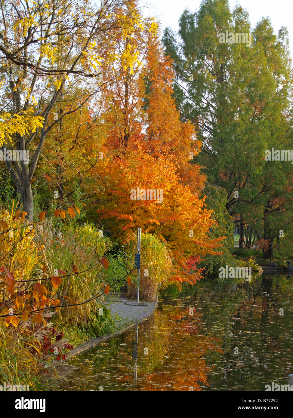 Herbstlandschaft, autumn landscape Stock Photo