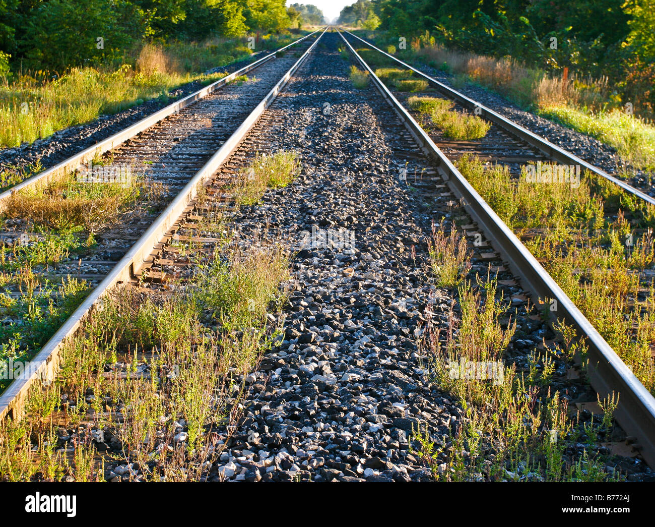 Two railway lines perspective view Stock Photo - Alamy