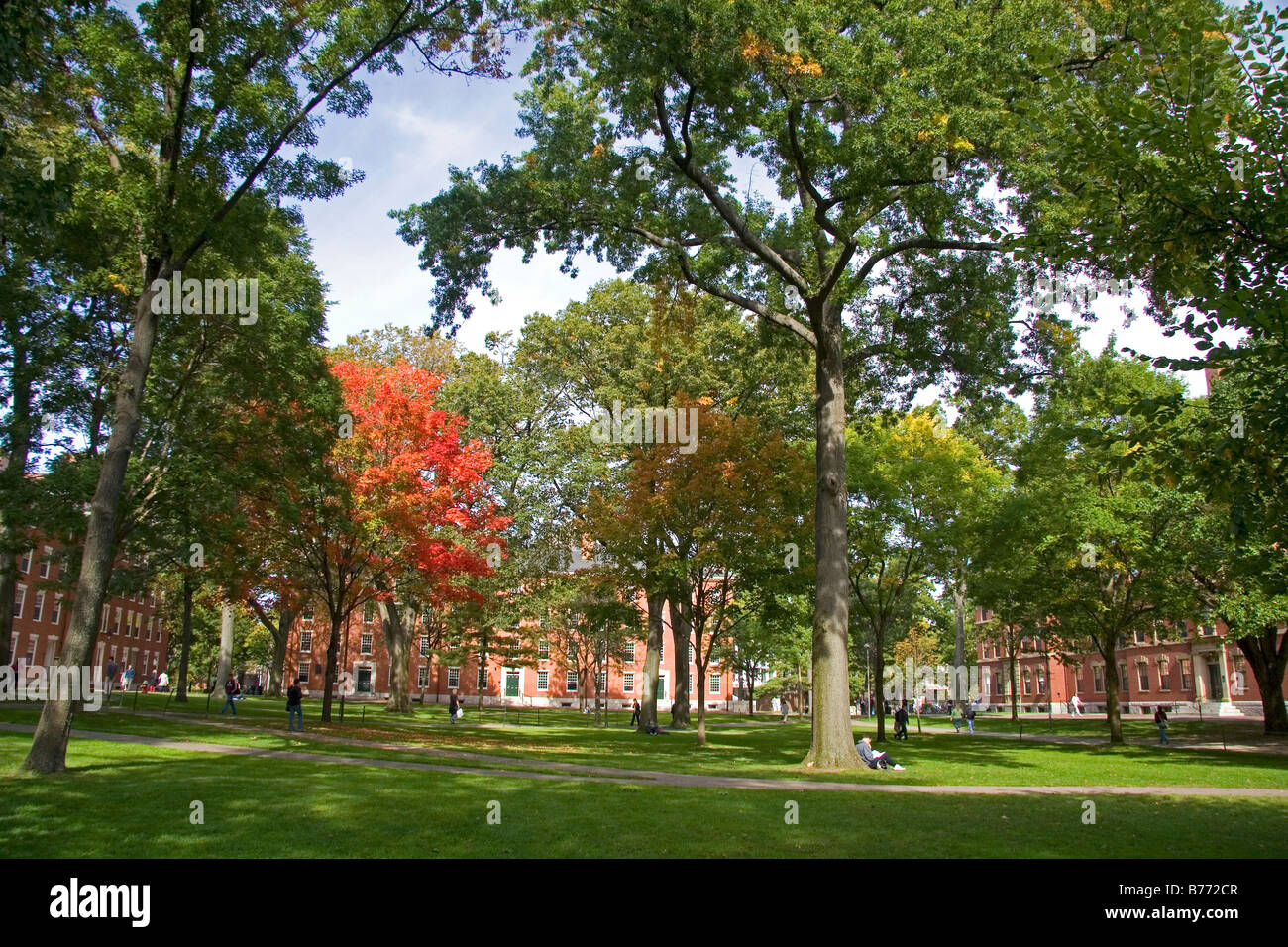 Harvard Yard at Harvard University in Cambridge Greater Boston Massachusetts USA Stock Photo