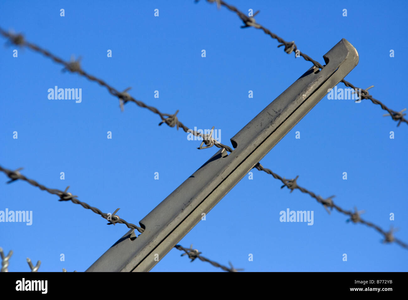 Barbed wire on fence against a blue sky Stock Photo - Alamy