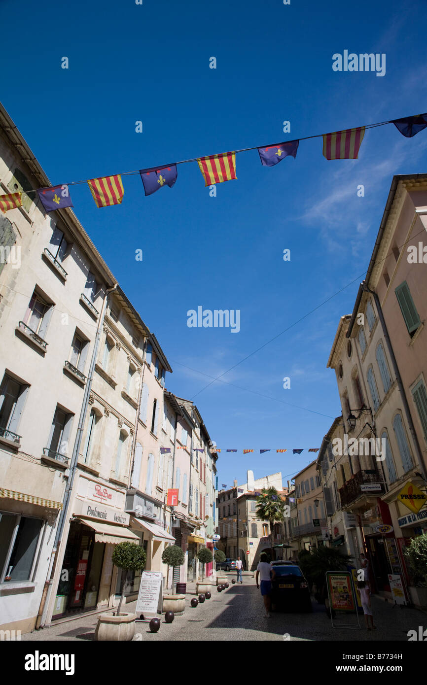 Tarascon main street houses facade and flags, Bouche du Rhone, France