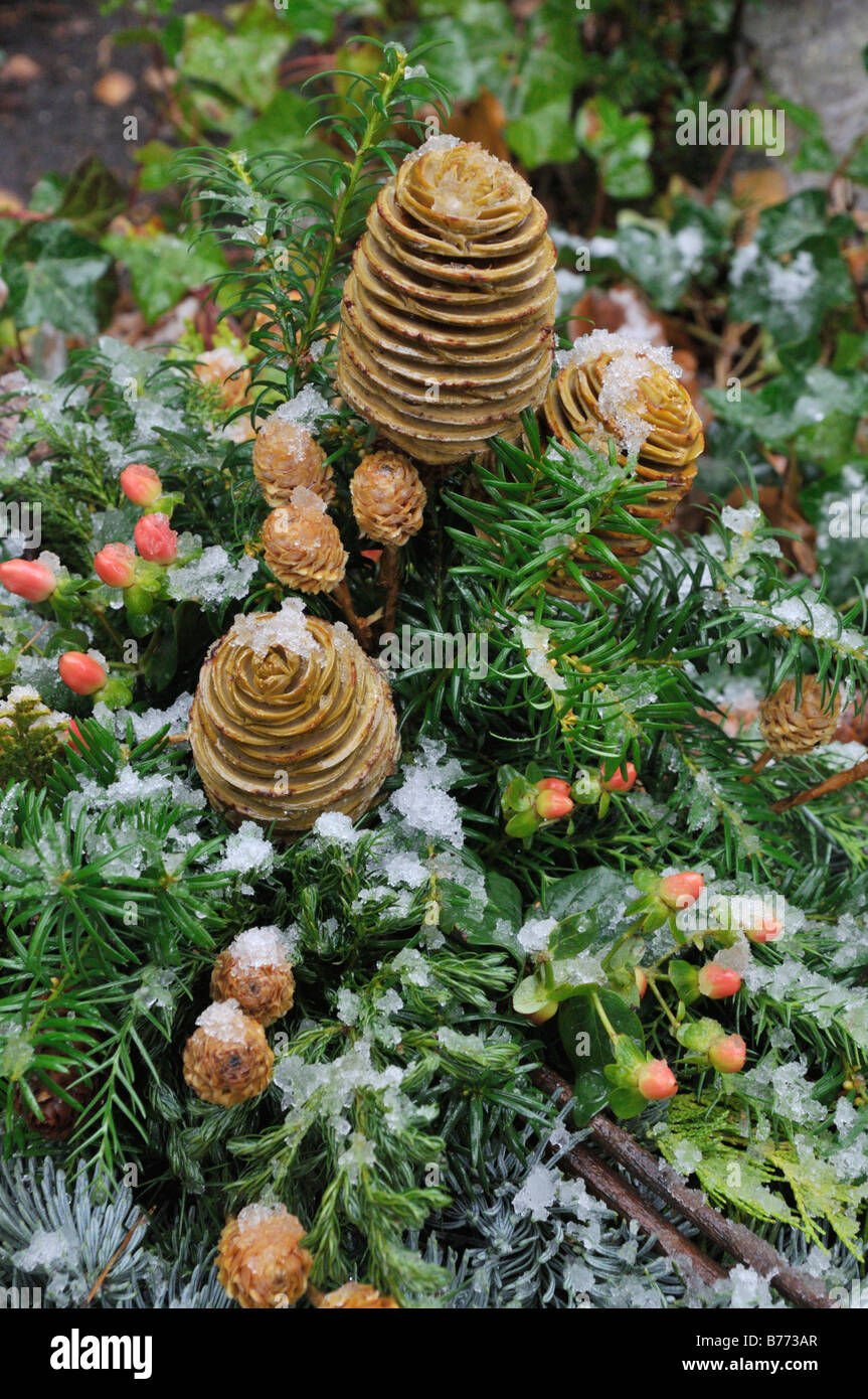 Grave decoration with cones Stock Photo