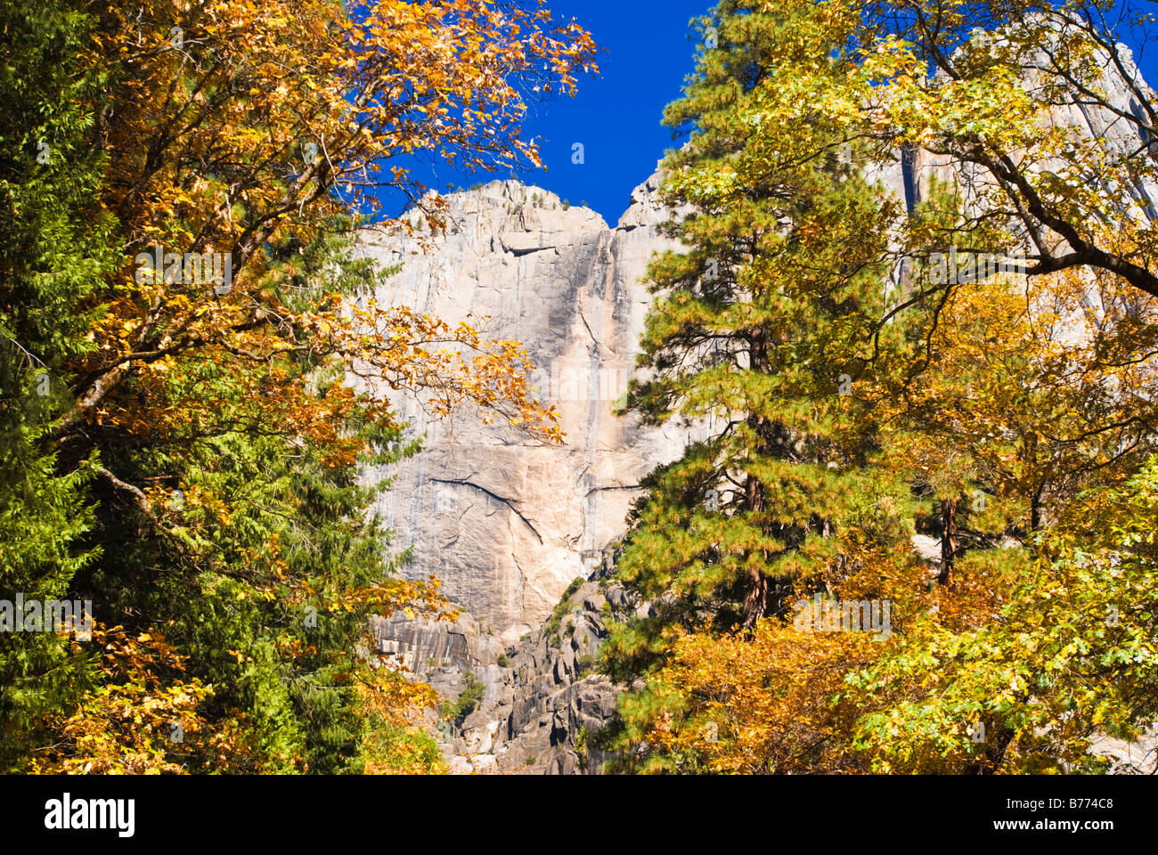 Yosemite Falls and fall color Yosemite National Park California Stock ...