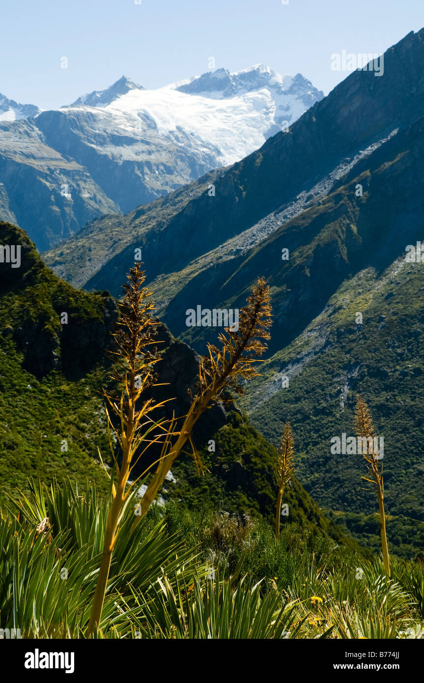 Barrier Ranges The Barrier Range from Snowy Creek, Rees Dart track, Mount Aspiring ...