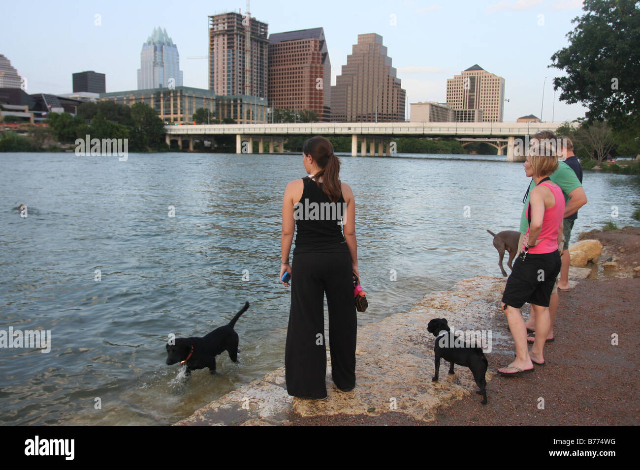 Austin texas downtown dog park Colorado river cooling off Stock Photo