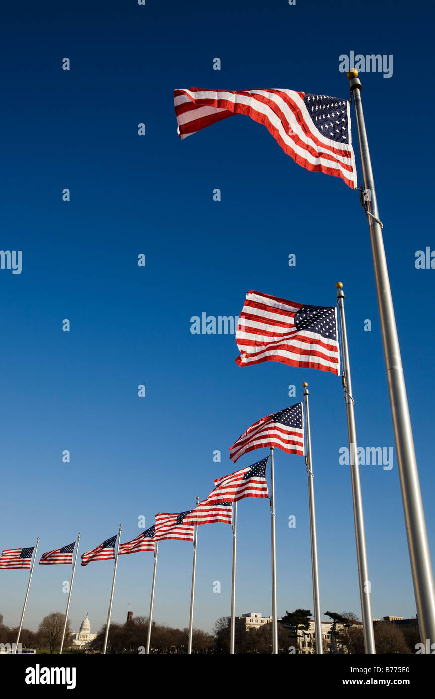 American flags Stock Photo