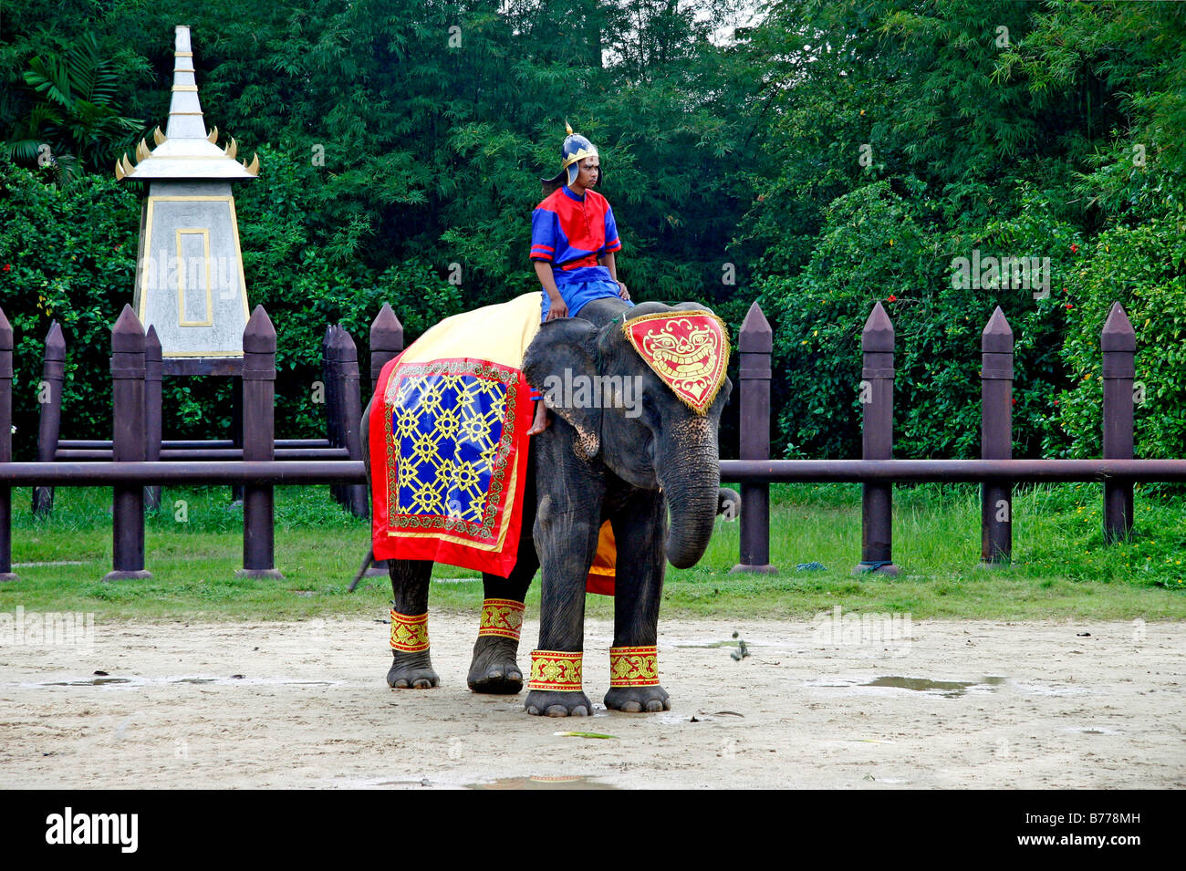 Elephant show, Elephant Village, Damnoen Saduak, near Bangkok, Thailand