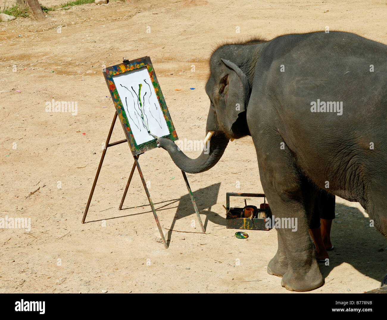 Elephant painting hires stock photography and images Alamy