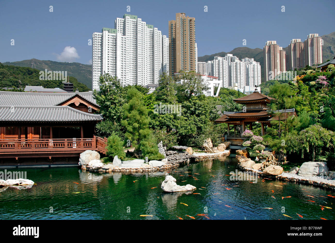 Pagoda and a lake with Koi fish in Chi Lin Botanical Garden, park in Kowloon, Hong Kong, China, Asia Stock Photo
