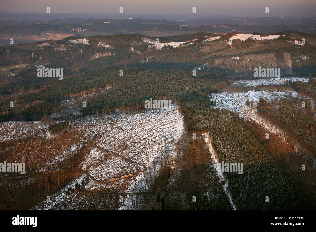 Aerial photo, consequences of hurricane Kyrill, snow, stark hill, empty spaces, Balve, Hochsauerland district, North Rhine-West Stock Photo