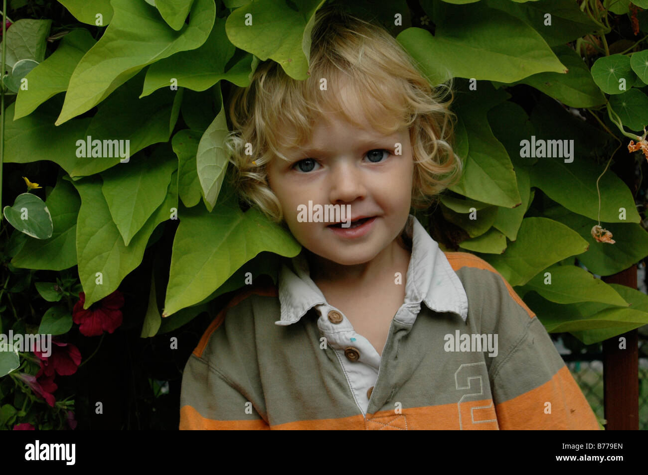 A beautiful little  boy in his mother's garden Stock Photo