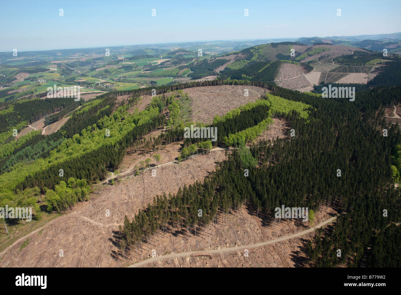 Aerial photograph, damage from the Krill storm in Mosebolle, Meschede Eversberg, Sauerland, North Rhine-Westphalia, Germany, Eu Stock Photo