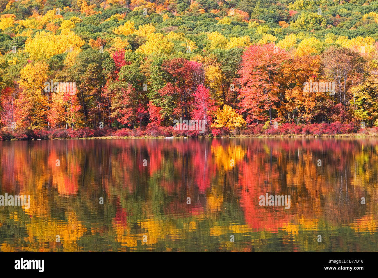 Autumn foliage, Bear Mountain, New York Stock Photo Alamy