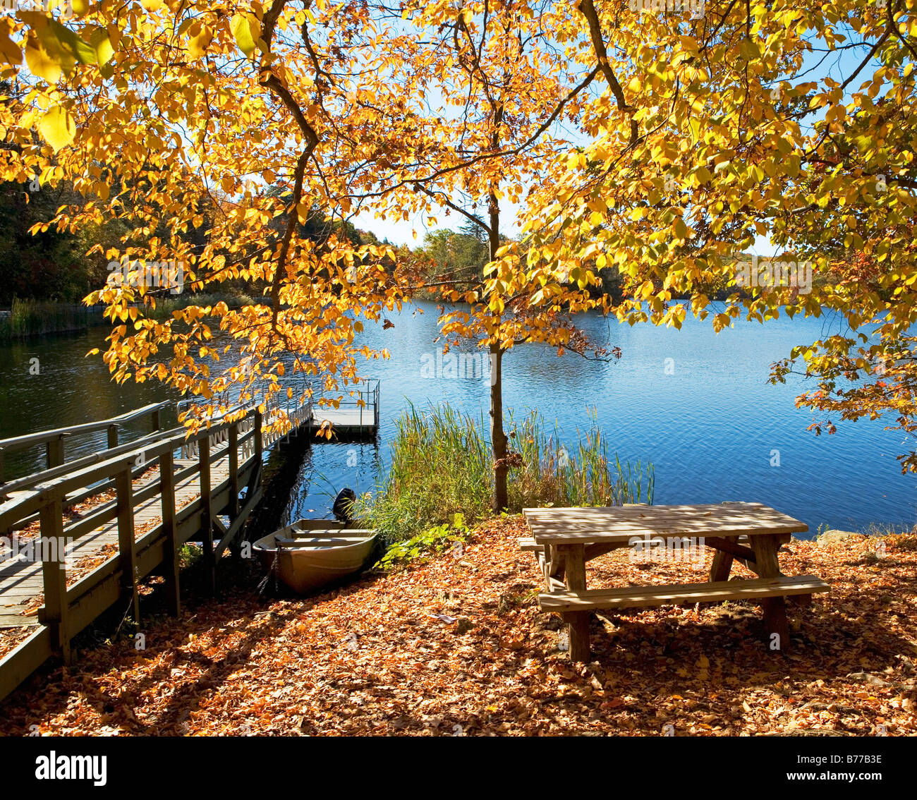 Picnic bench autumn leaves near dock and lake Stock Photo