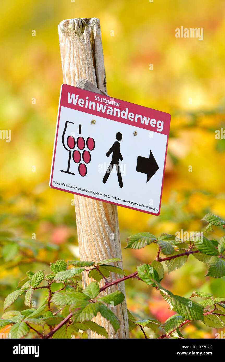 Sign indicating the Stuttgarter Weinwanderweg, wine wander route, Baden-Wuerttemberg, Germany, Europe Stock Photo